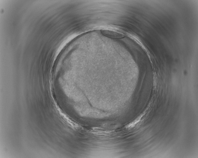 X0000053051048200508081123