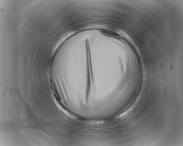 X0000053051049200508081123