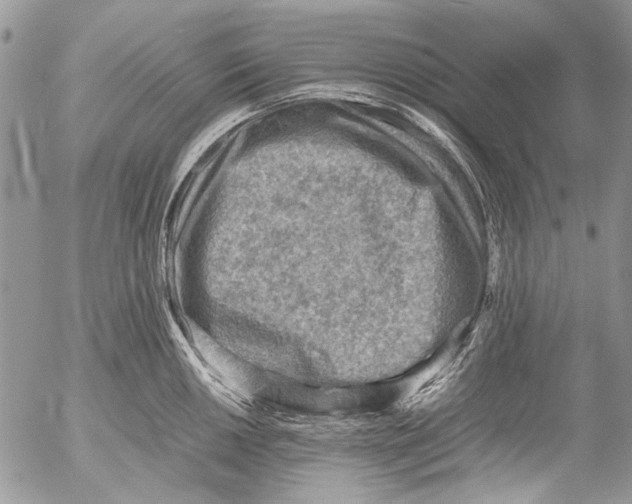 X0000053051050200508081123