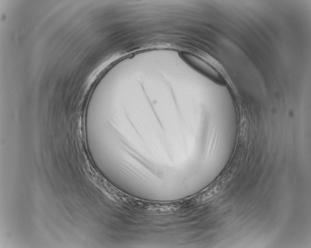 X0000053051051200508081123