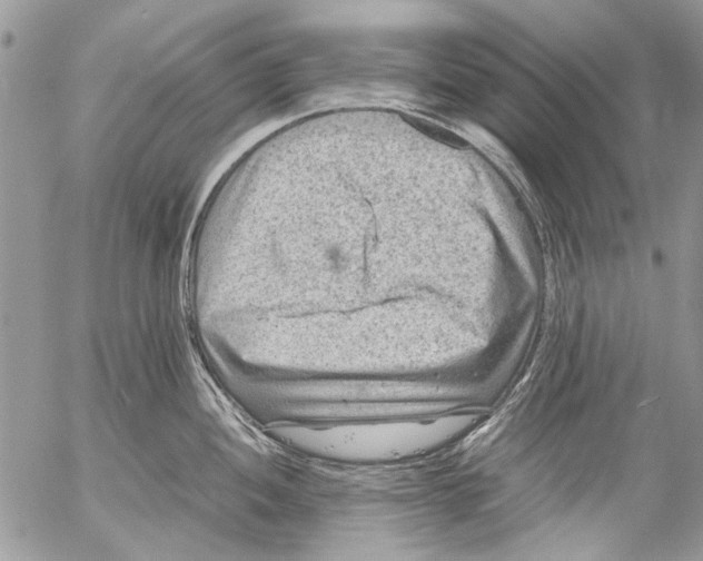 X0000053051052200508081123