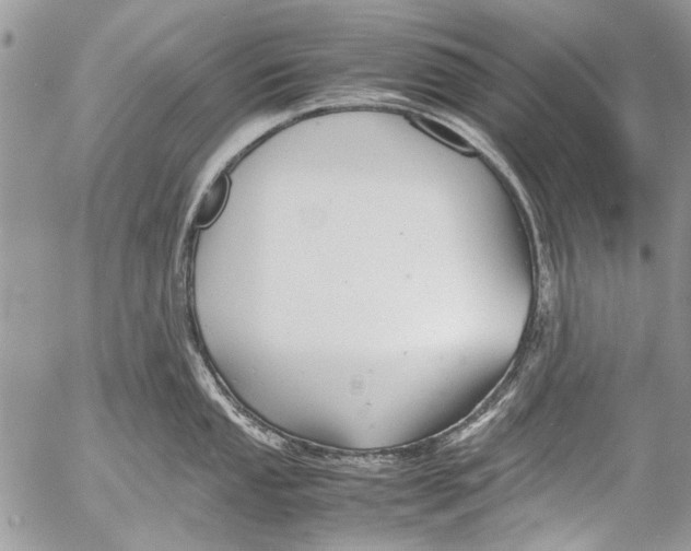 X0000053051053200508081123