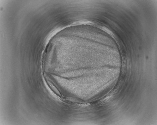 X0000053051055200508081124