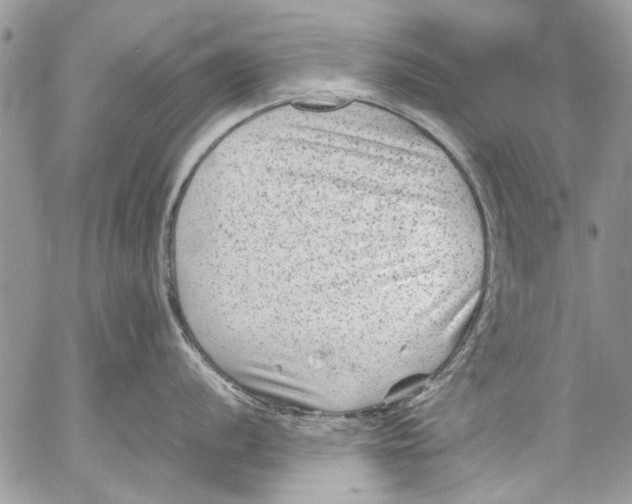 X0000053051056200508081124