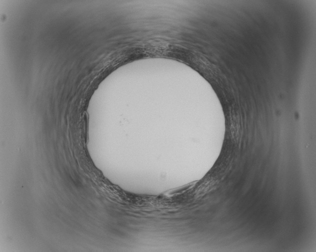 X0000053051057200508081123