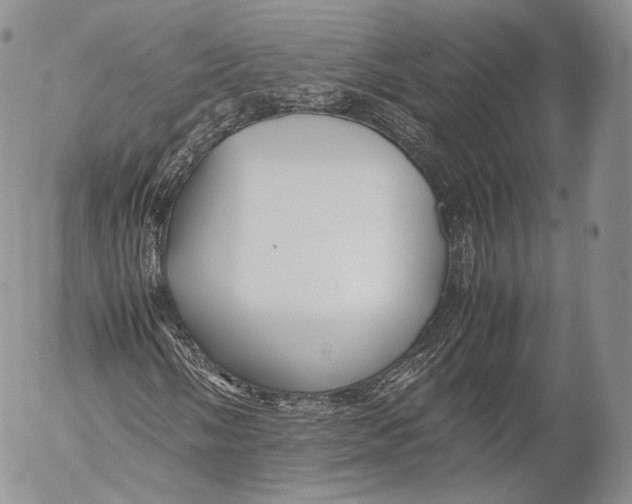 X0000053051058200508081123