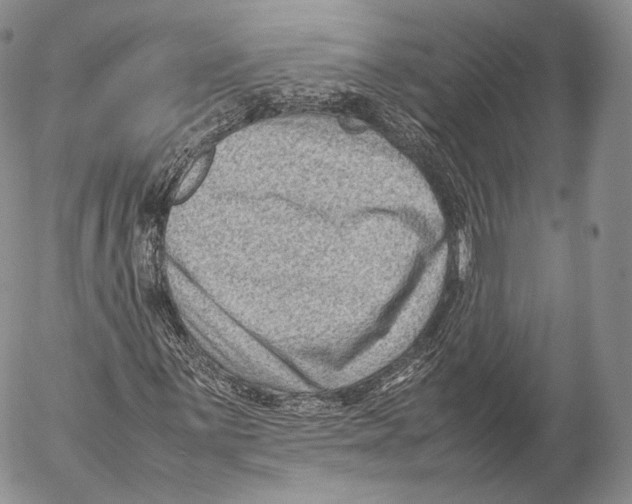 X0000053051059200508081123