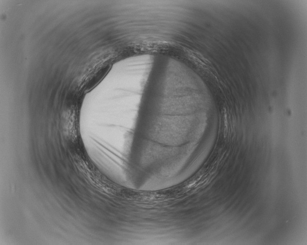 X0000053051060200508081123