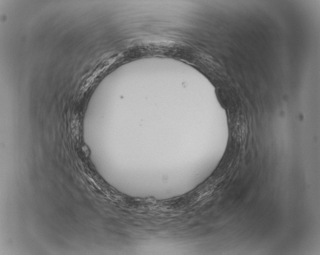 X0000053051061200508081123