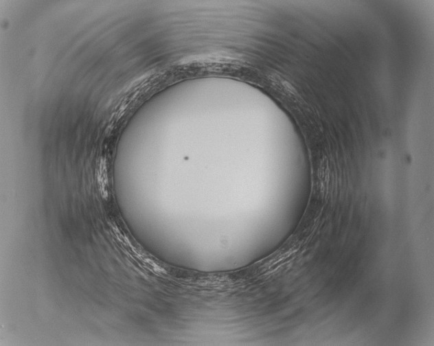 X0000053051062200508081123