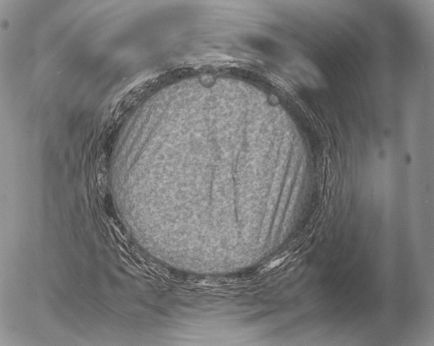 X0000053051063200508081123