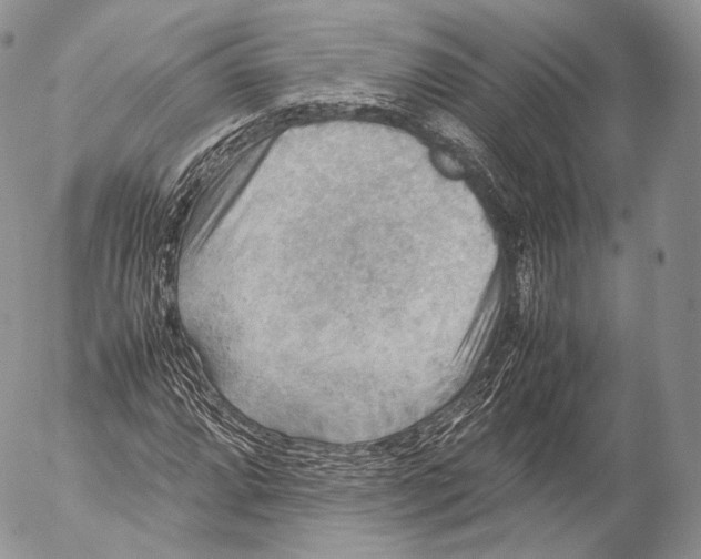 X0000053051064200508081123