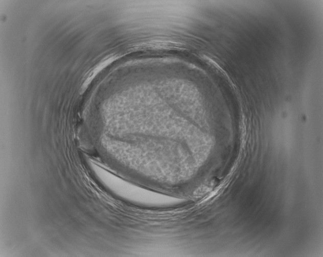 X0000053051065200508081123