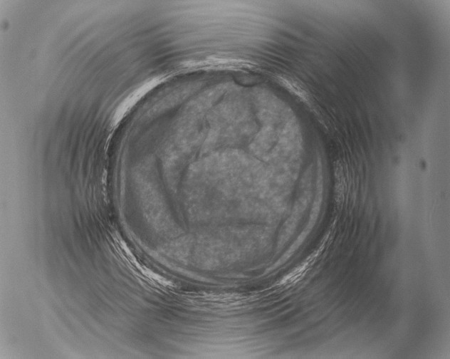 X0000053051066200508081123