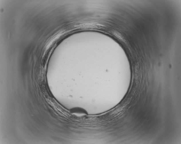 X0000053051067200508081123