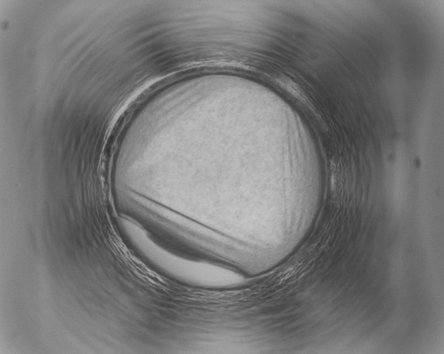 X0000053051068200508081123