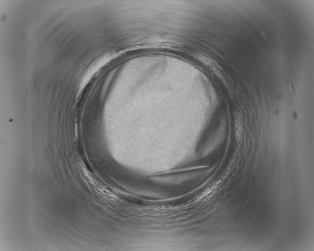 X0000053051069200508081123