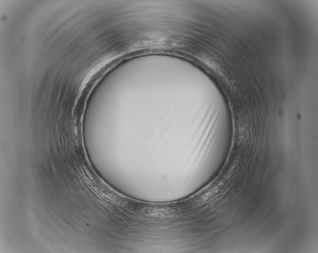 X0000053051070200508081123