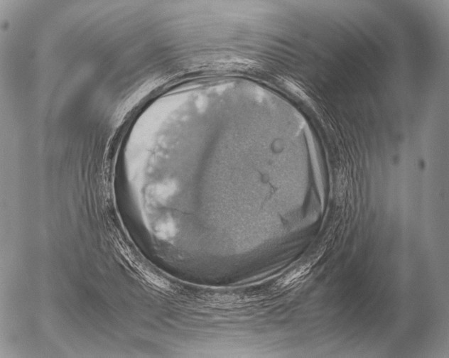 X0000053051071200508081123