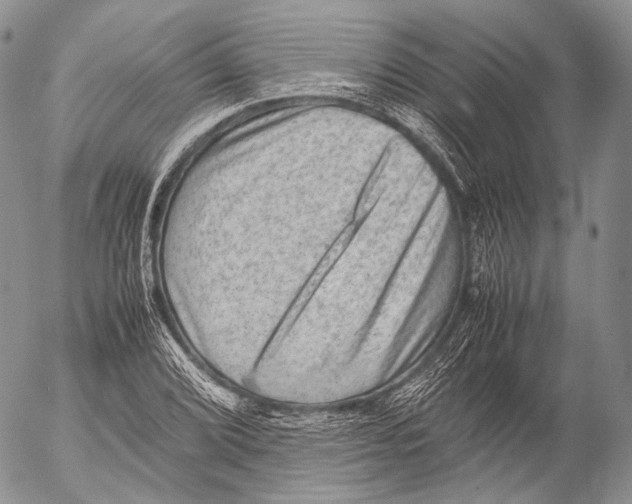 X0000053051072200508081123