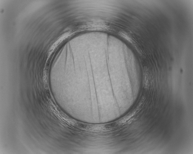 X0000053051074200508081122