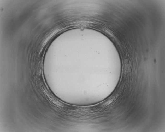 X0000053051075200508081122