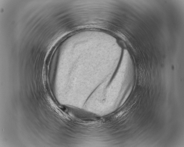 X0000053051076200508081122