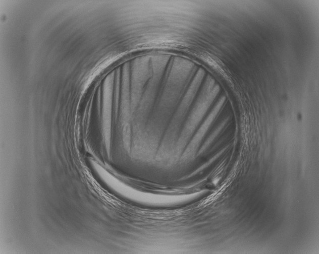 X0000053051077200508081122