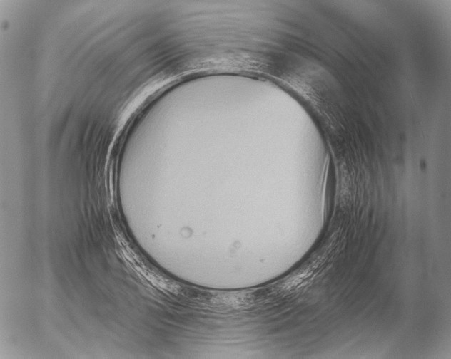 X0000053051078200508081122