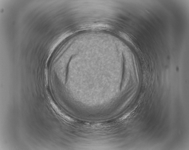 X0000053051079200508081122