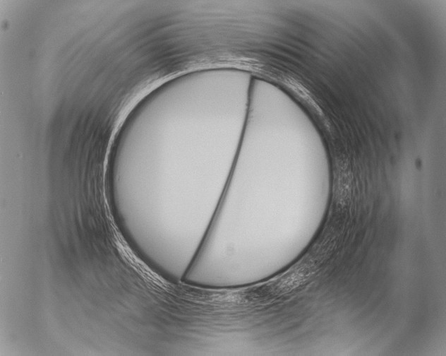 X0000053051080200508081122