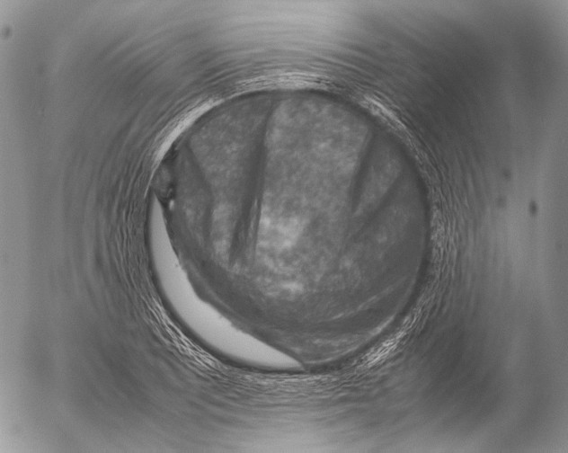 X0000053051081200508081122