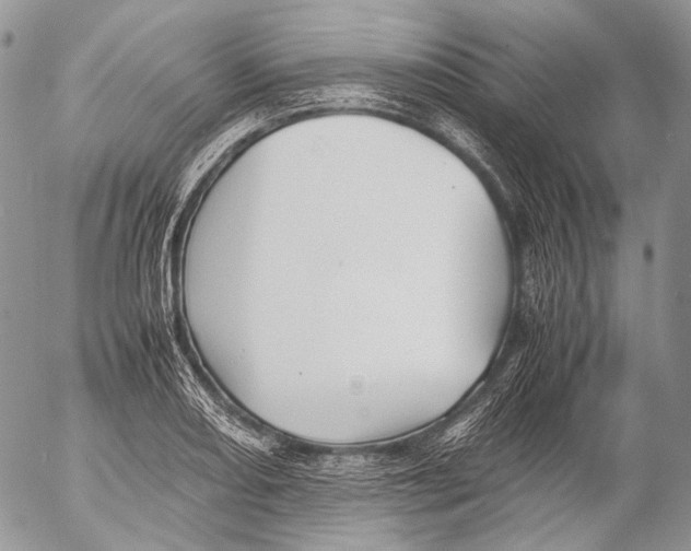 X0000053051082200508081122