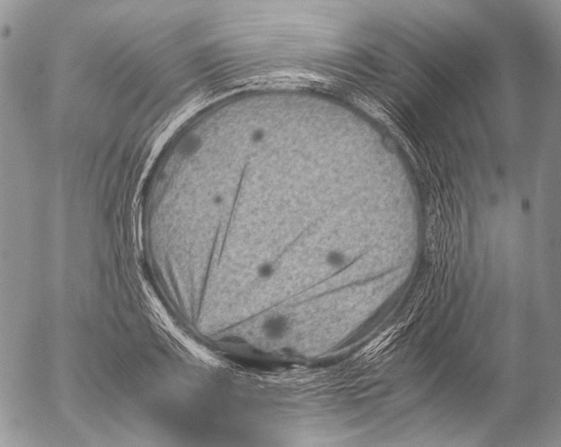 X0000053051083200508081122