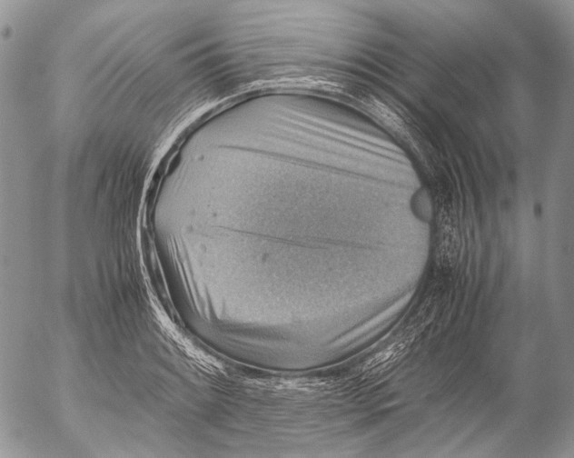 X0000053051084200508081122