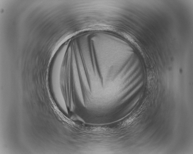 X0000053051085200508081122