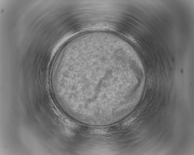 X0000053051086200508081122