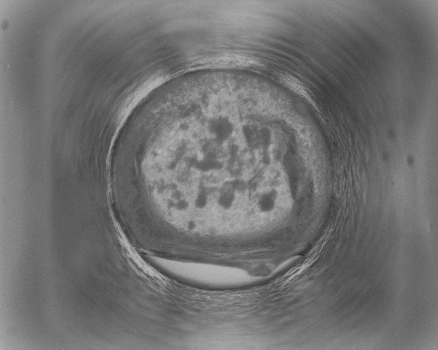 X0000053051087200508081122