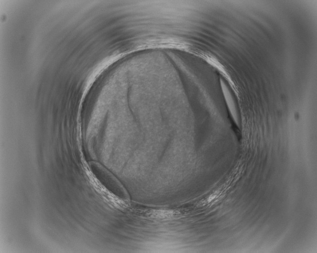 X0000053051088200508081122