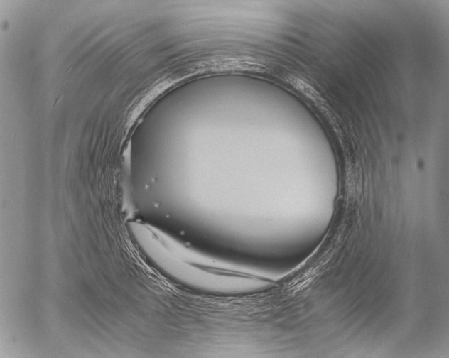 X0000053051089200508081122