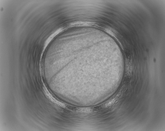 X0000053051090200508081122