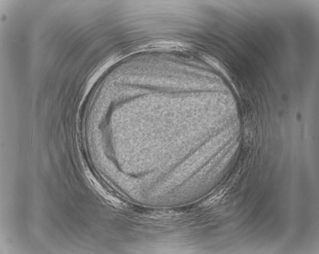 X0000053051091200508081122