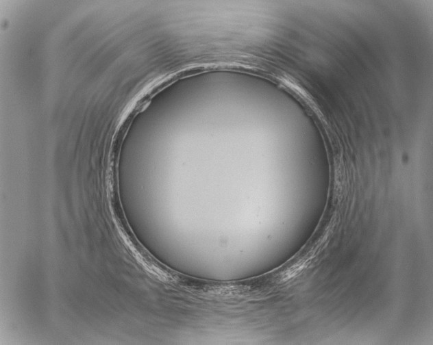 X0000053051093200508081122