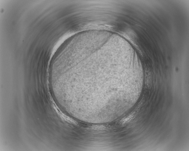 X0000053051094200508081122