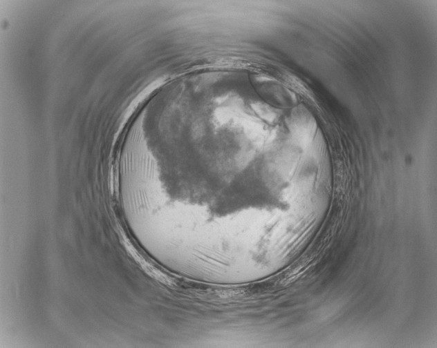 X0000053051095200508081122