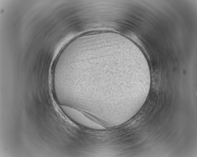 X0000053051096200508081122