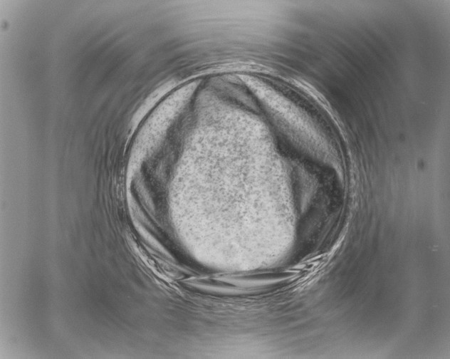 X0000053051097200508081122