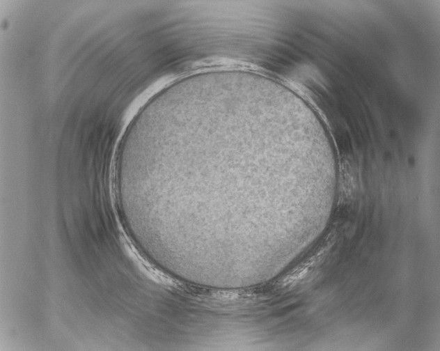 X0000053051098200508081122