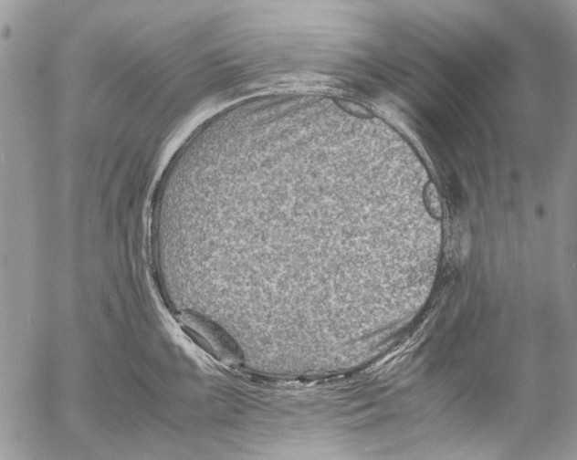 X0000053051099200508081122