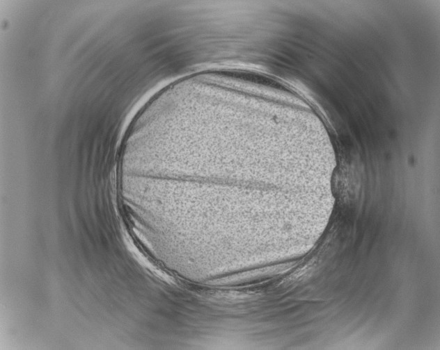 X0000053051100200508081122